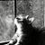 JoyceLarry Rollins's profile image