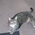 Sheila Kaseman's profile image