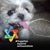 Dana Stoller Schrager's profile image