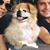 Simone Fung's profile image