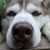 Vern Slusarek's profile image