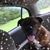 Cynthia Jones's profile image