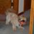 Steve Martz's profile image