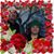 Sonya Burchell's profile image