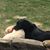 Mary Lee Ten Eyck's profile image