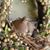 Nasim Ag.'s profile image