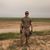 Matt Sully's profile image