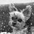 Nicole Renzler's profile image