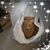 Adele Pietromartire's profile image