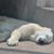 Don Whitebear's profile image