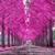 Maretsky Kits's profile image