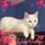 Jeff Jones's profile image