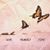 Asma El Mabrouk's profile image