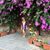 Olivia Natalie's profile image