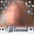 Gloria Blackmond's profile image