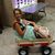 Shawna James's profile image