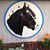 Susan Beranek's profile image