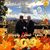Deborah J Frantz's profile image