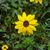 Debbie McBride's profile image
