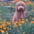Alice L Berg's profile image