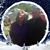 Bonnie Bondurant Dabney's profile image