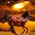 Angela Wigley's profile image