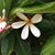 Sharon Macdonald's profile image