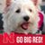 Cyndi Russell's profile image