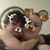 Jaymie Moore's profile image