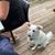 Carolann Fitzgerald's profile image