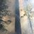 David Koepp's profile image