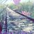 Karen Dinger's profile image