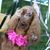 Christi Eckert's profile image