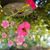 Judy Kell's profile image