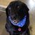 Debbie Lynn Kuemper's profile image