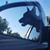 Dave Tunison's profile image