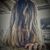 Marcia Costa's profile image