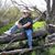 Andre G Cahill's profile image