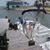 Suzanne Selinger's profile image