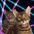 Bruce McLarty's profile image