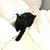 Marilyn Carnahan's profile image