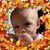 Cheryl Lampe-Schilhab's profile image