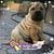 Bobbie Libman's profile image
