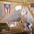 Richard Brown's profile image