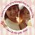 Misty Lynn Hollon's profile image