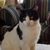 Mary Conrad Martin's profile image