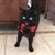 Lisa Kelley's profile image
