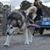 Tracey Bargy's profile image