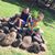 Rhonda Reynolds Heston's profile image