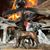 John Sweeden's profile image